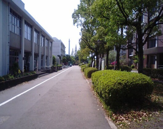 宫崎大学