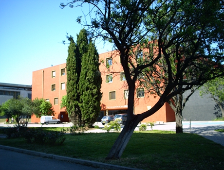 蒙波利埃第三大学