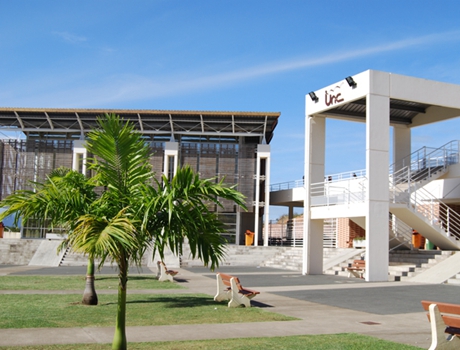 新喀里多尼亚大学