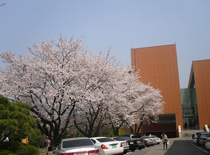 东首尔大学