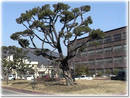 釜山教育大学