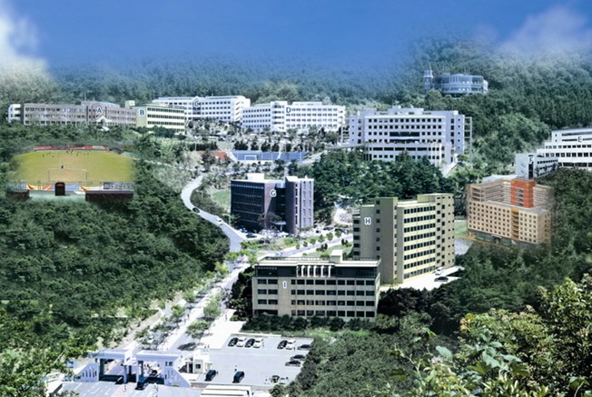 韩国国际大学