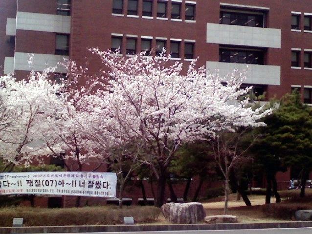 韩国圣经大学