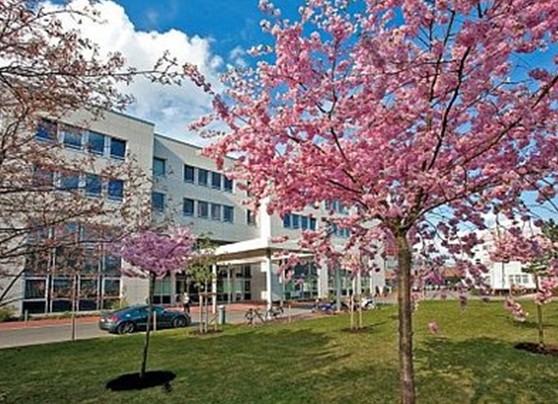 汉诺威医学院