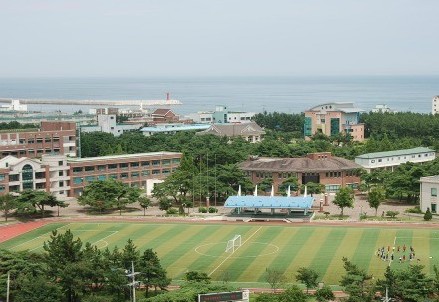 江原道立大学