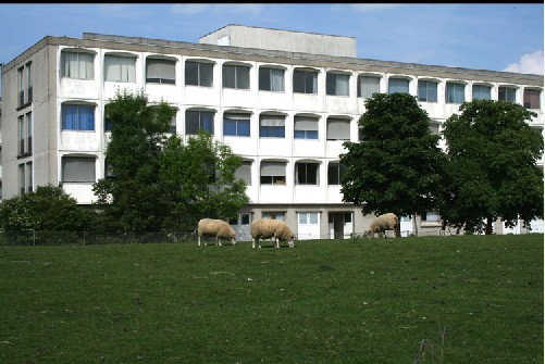 里昂国立兽医学校