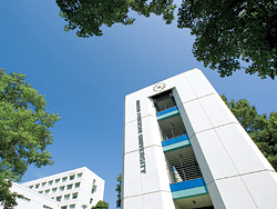 日本福利大学