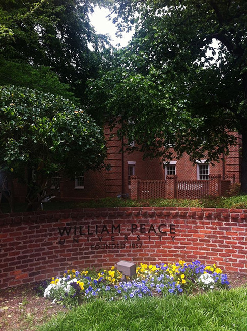 威廉和平大学