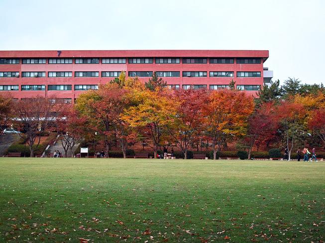 蔚山大学