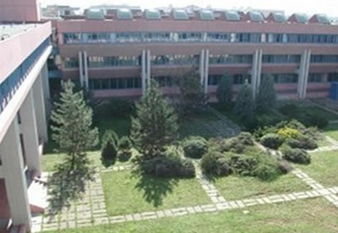 乌迪内大学