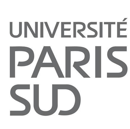 巴黎第十一大学综合理工学校
