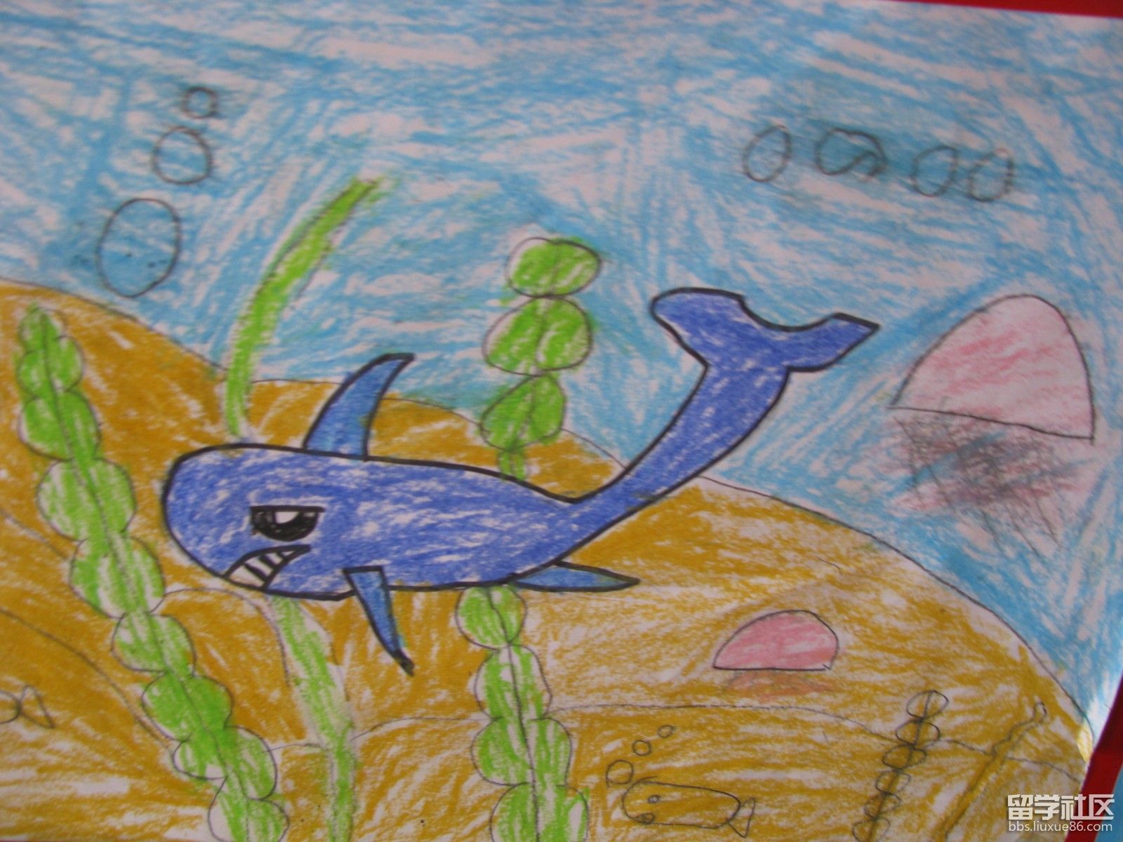 可爱小扁鱼简笔画画法图片步骤 - 有点网 - 好手艺