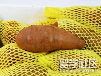 吃什么可以骗饱你的胃