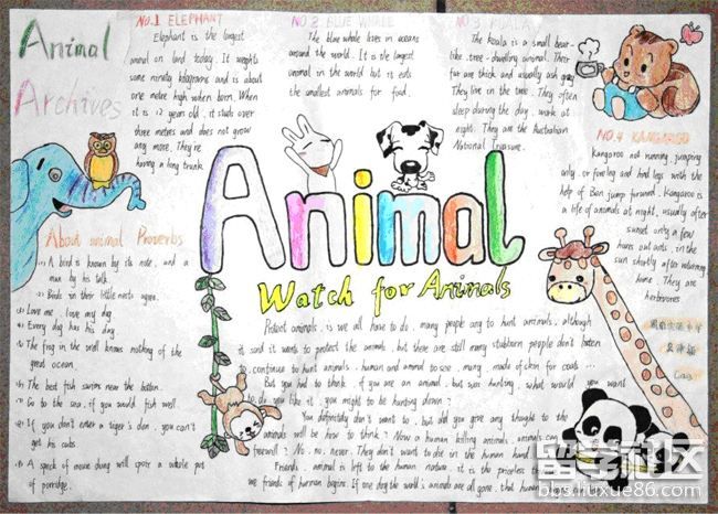 爱护动物主题手抄报版面设计图