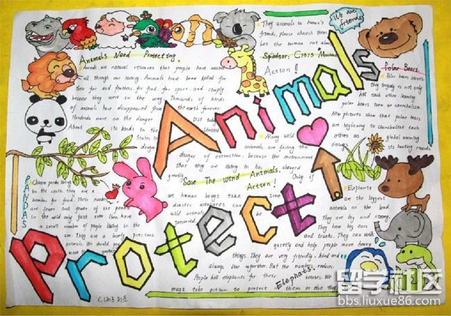 爱护动物主题手抄报版面设计图