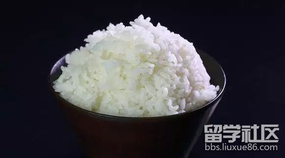 米饭.png