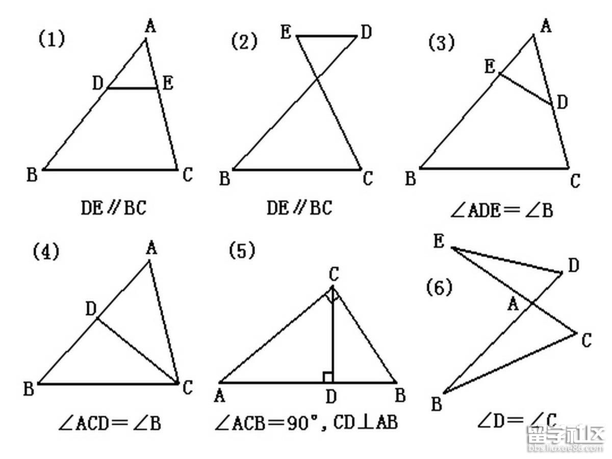 中考数学 三角形 考点 相似三角形的判定方法